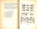 Lepidoptera, I : Lycaenidae, sur les espèces éthiopiennes du genre Syntarucus Butler.. Stempffer, Henri