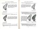How to know the butterflies.. Ehrlich, P.R. & A.H. Ehrlich