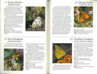 70 common butterflies of the southwest.