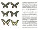 Common malayan butterflies.. Morrell, R.