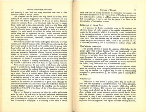 Parrots and parrot-like birds.. Bedford, Duke of & D.L. Coffi