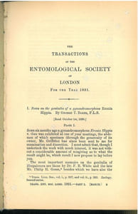 Notes on the genitalia of a gynandromorphous Eronia hippia.