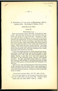 Description of a new genus of Rhopalocera allied to Anteros, Hew..