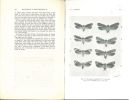 Catalogus der Nederlandsche Macrolepidoptera, VI : Agrotidae (vervolg.), Cuculliinae.. Lempke, B.J.