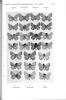 Les nombres de chromosomes dans la classification du groupe d'Agrodiaetus ripartii Freyer (Lepidoptera Lycaenidae).. Lesse, Hubert de