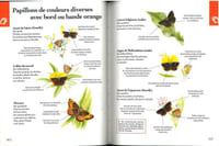 Les papillons par la couleur, guide d'identification.