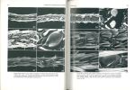 Book Picture