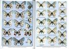 Etude synoptique et répartition mondiale des espèces du genre Parnassius Latreille 1804 (Lepidoptera Papilionidae).. Turlin, B. & L. Manil