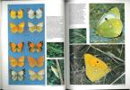 Butterflies and moths in Britain and Europe.. Carter, David