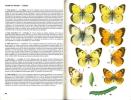Le multiguide nature des papillons d'Europe.. Novak, I. et al.