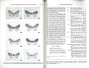 A revision of the Melanolophiini (Lepidoptera, Geometridae).. Rindge, Frederick H.