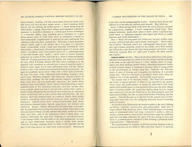 The common butterflies of the plains of India (including those met with in the hill stations of the Bombay presidency).