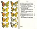 A field guide to the butterflies of Britain and Europe.. Higgins, L.G & N.D. Riley