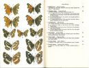 A field guide to the butterflies of Britain and Europe.. Higgins, L.G & N.D. Riley