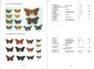 Illustrated checklist of Nepal's butterflies.. Smith, Colin P.