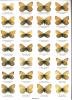 Butterflies of the world. Part. 11. Nymphalidae V. Oeneis.. Lukhtanov, V.A. & U.F.J. Eitschberger