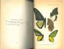 New forms of butterflies from Buru.. Joicey, J.J. & G. Talbot
