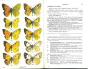 Guide des papillons d'Europe. Rhopalocères.. Higgins, L.G. & N.D. Riley