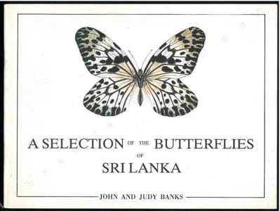 A selection of the butterflies of Sri Lanka.