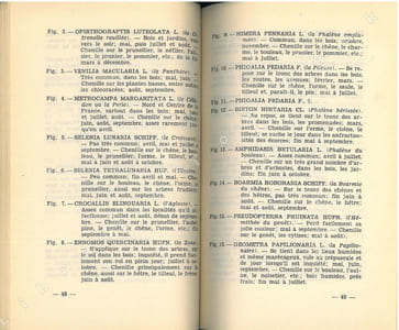 Album des papillons de France.
