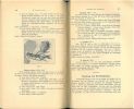 Uebersicht der Lycaeniden des Indo-Australischen Gebiets.. Fruhstorfer, Hans