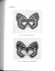 The nigerian butterflies. An atlas of plates with notes. Part. III. Nymphalidae (section 1).. Boorman, John