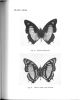 The nigerian butterflies. An atlas of plates with notes. Part. III. Nymphalidae (section 1).. Boorman, John