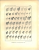 Book Picture