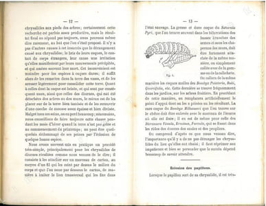 Guide de l'éleveur de chenilles indiquant la manière de les récolter, de les élever et d'obtenir des pontes. Suivi d'un traité spécial de l'éducation des chenilles produisant de la soie.