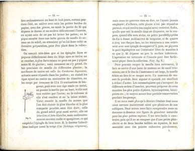 Guide de l'éleveur de chenilles indiquant la manière de les récolter, de les élever et d'obtenir des pontes. Suivi d'un traité spécial de l'éducation des chenilles produisant de la soie.