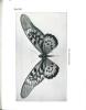 The nigerian butterflies. Part. I. Papilionidae.. Boorman, John & P. Roche