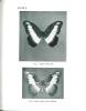 The nigerian butterflies. Part. I. Papilionidae.. Boorman, John & P. Roche