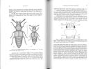 Faune de Madagascar, 71 : insectes coléoptères Staphylinidae Euaesthetinae.. Orousset, Jean