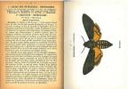 Atlas de poche des papillons de France, Suisse et Belgique.. Girod, Paul Emile