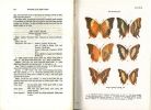Butterflies of the indian region.. Wynter-Blyth, M.A.