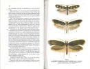 Fauna of the USSR. Lepidoptera. Vol. IV. n° 5. Clothes moths (Tineidae). part 5. Subfamily Myrmecozelinae.. Zagulajev, A.K.