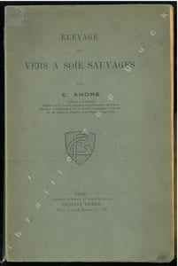 Elevage des vers à soie sauvages.
