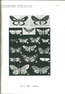 Résultats scientifiques du voyage aux Indes orientales Néerlandaises. Lepidoptera. 2 volumes.. Ball, F.J. et al.