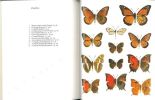 Jamaica and its butterflies.. Brown, F.M & B. B. Heineman