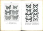 The butterflies of Kenya and Uganda. Vol. II. Part. 2. Nymphalidae (continued).. Someren V.G.l. van