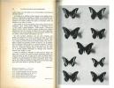 Faune des Antilles françaises. Les papillons.. Pinchon, R. & P. Enrico