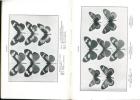The butterflies of Kenya and Uganda. Supplement to vol. 1.. Someren, V.G.l. van