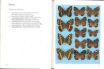 Pennington's butterflies of southern Africa.. Dickson, C.G.C. & D.M. Kroon