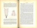 Traité d'anatomie comparée pratique. 2 volumes.. Vogt, C. & E. Yung