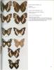 Butterflies of the Afrotropical Region.. Abrera, Bernard d’