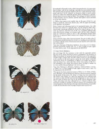 Butterflies of the Afrotropical Region.