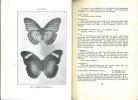 The butterflies of Kenya and Uganda. Vol. II. Parts 1-2.. Someren, Victor G.l. van