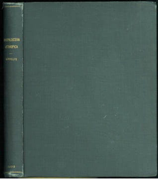 Rhopalocera Aethiopica. Die Tagfalter des aethiopischen Faunengebietes, eine Systematisch-Geographische Studie.. Aurivillius, Christopher