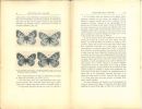 Etudes de lépidoptérologie comparée. Fasc. XXI. 3 parties en 3 fascicules.. Oberthur, Charles