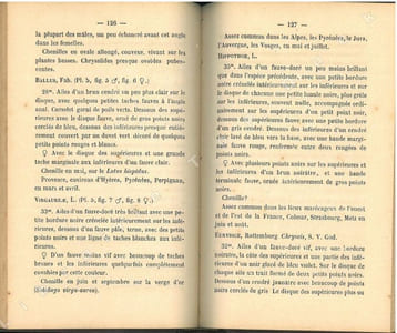 Faune entomologique française. Lépidoptères. Description de tous les papillons qui se trouvent en France.